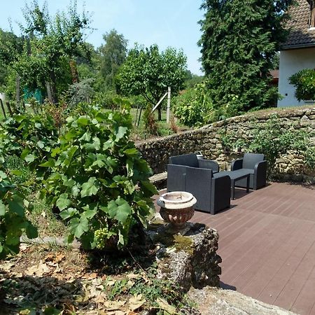 Szigligeti Nádfedeles Vila Exterior foto
